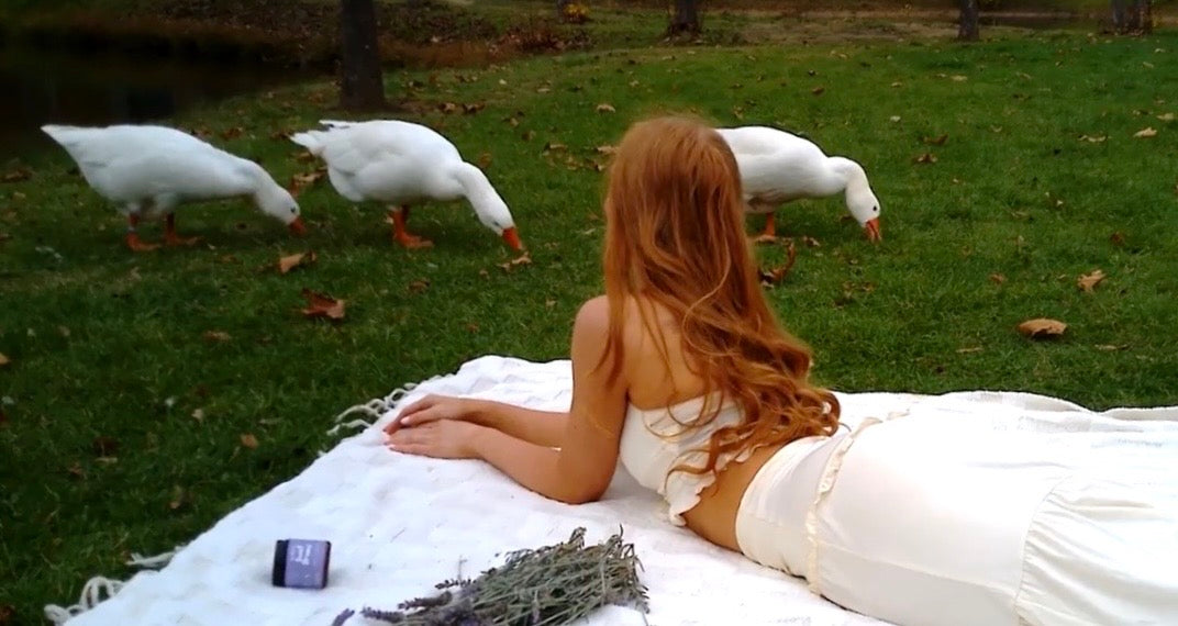 Load video: Sweet Dreams | Moo Remedy